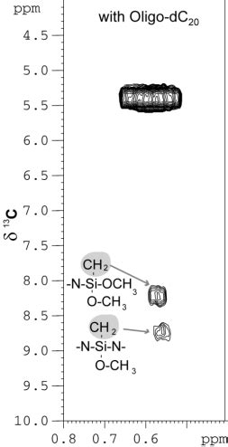 ‐CH2‐ - si 분자량 - 9Lx7G5U